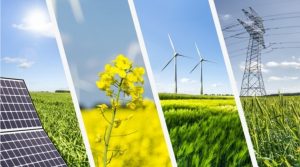 Biofuel and renewable energy